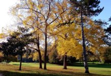 Ne boudons pas les 67 hectares d’espaces verts qui nous entourent !