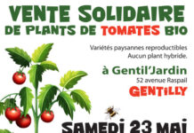 Vente solidaire de plants de tomate bio